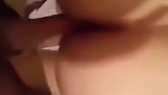 Arabic Homemade Video Of A Big Cocked Escort In Algeria